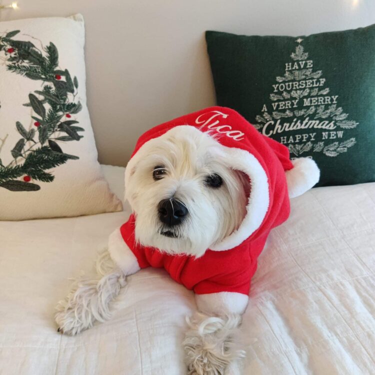 Hundtomtedräkt med namn