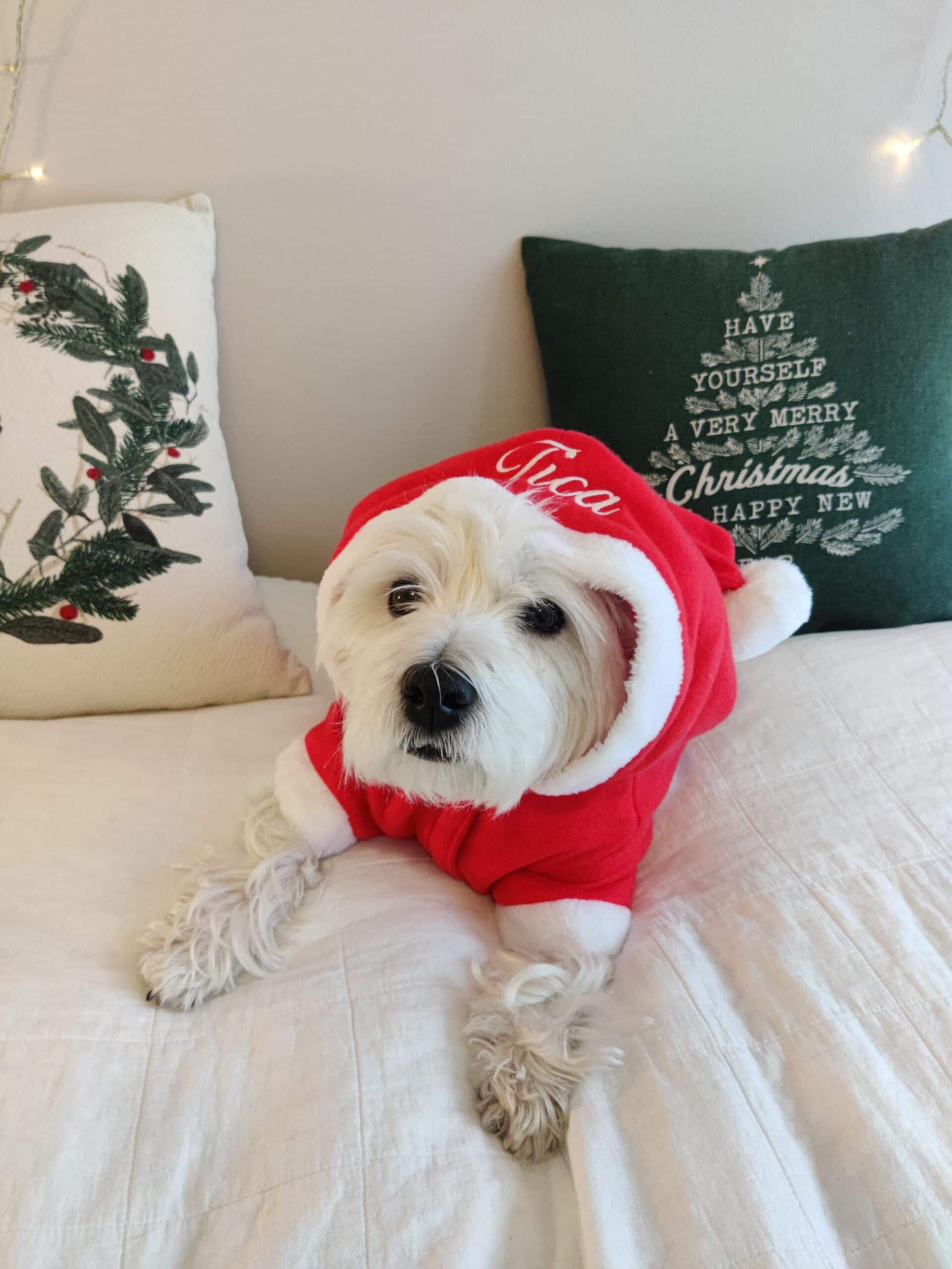 Hundtomtedräkt med namn