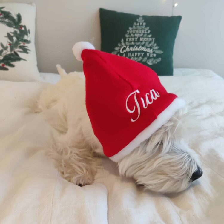 Hundtomteluva med namn